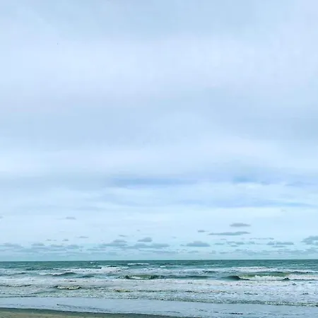 In Niewpoort Near The Seaside Apartamento